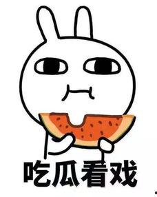 娱乐圈吃瓜系统沙雕动画